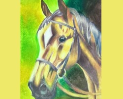 SAHASRA GUDIPATI, 10 Years, Fremont, United States