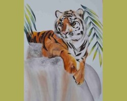 ANANYAA SAKSENA, 18 Years, Rajasthan, India