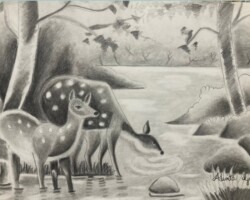 ADWITA GUPTA, 11 Years, Bangalore, India