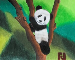 ROHAN JAYAKRISHNAN, 14 Years, Downingtown, PA, United States