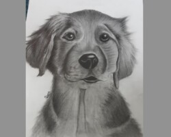 SAANVI TADIKAMALLA, 12 Years, London, Surrey, United Kingdom